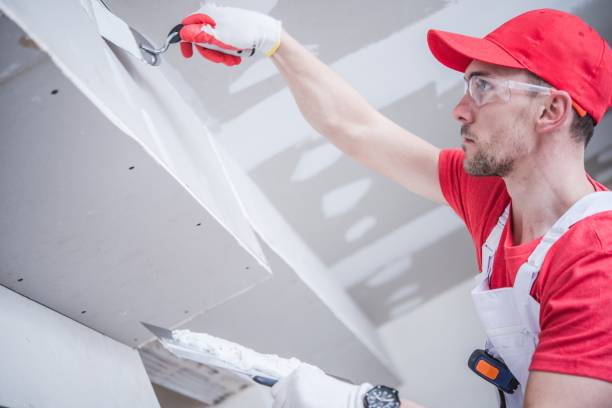 Palm Beach Gardens, FL Dry wall and painting Company